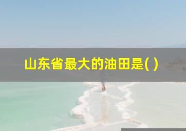 山东省最大的油田是( )